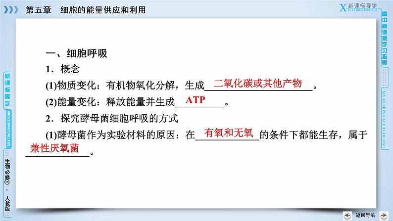 高中生物人教版必修1课件：第5章 第3节ATP的主要来源——细胞呼吸06