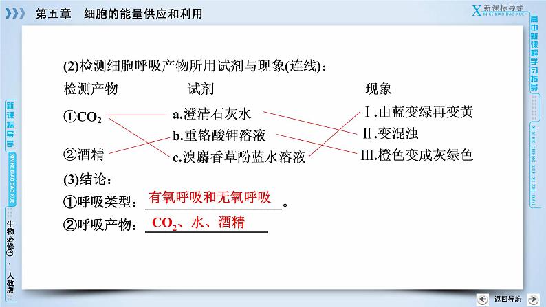 高中生物人教版必修1课件：第5章 第3节ATP的主要来源——细胞呼吸07