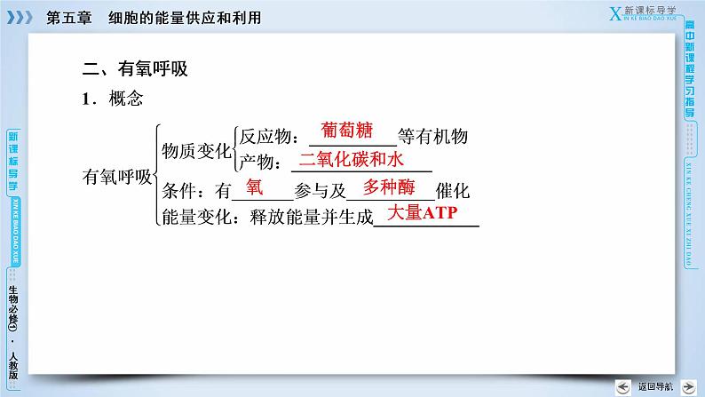 高中生物人教版必修1课件：第5章 第3节ATP的主要来源——细胞呼吸08