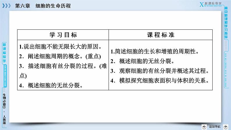 高中生物人教版必修1课件：第6章 第1节细胞的增殖08