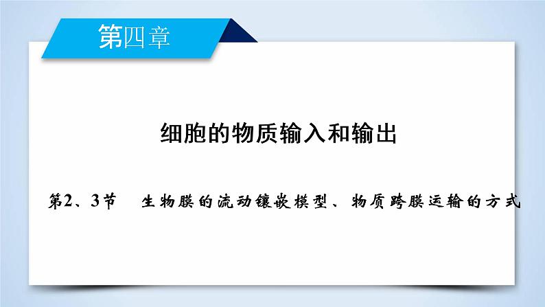 高中生物人教版必修1课件：第4章 第2、3节生物膜的流动镶嵌模型、物质跨膜运输的方式02