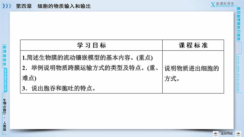 高中生物人教版必修1课件：第4章 第2、3节生物膜的流动镶嵌模型、物质跨膜运输的方式03