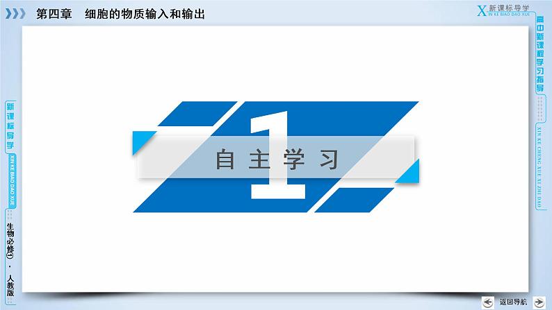 高中生物人教版必修1课件：第4章 第2、3节生物膜的流动镶嵌模型、物质跨膜运输的方式05