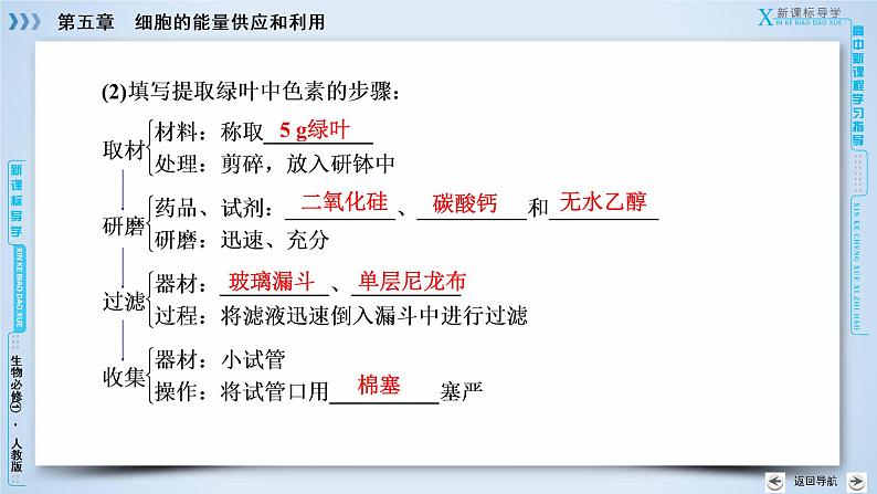 高中生物人教版必修1课件：第5章 第4节能量之源——光与光合作用07