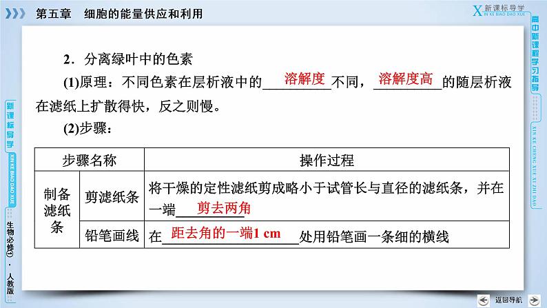 高中生物人教版必修1课件：第5章 第4节能量之源——光与光合作用08