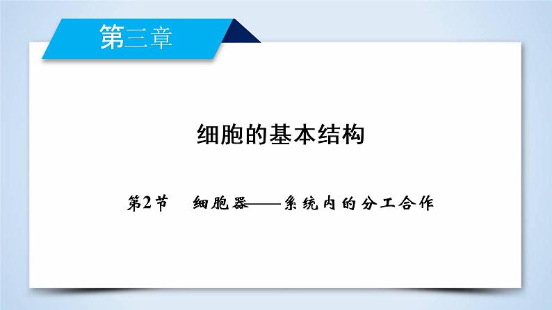 高中生物人教版必修1课件：第3章 第2节细胞器——系统内的分工合作02