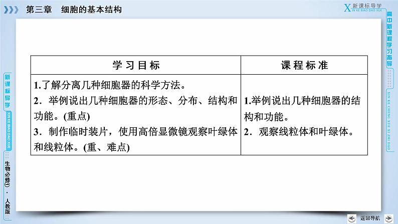 高中生物人教版必修1课件：第3章 第2节细胞器——系统内的分工合作03