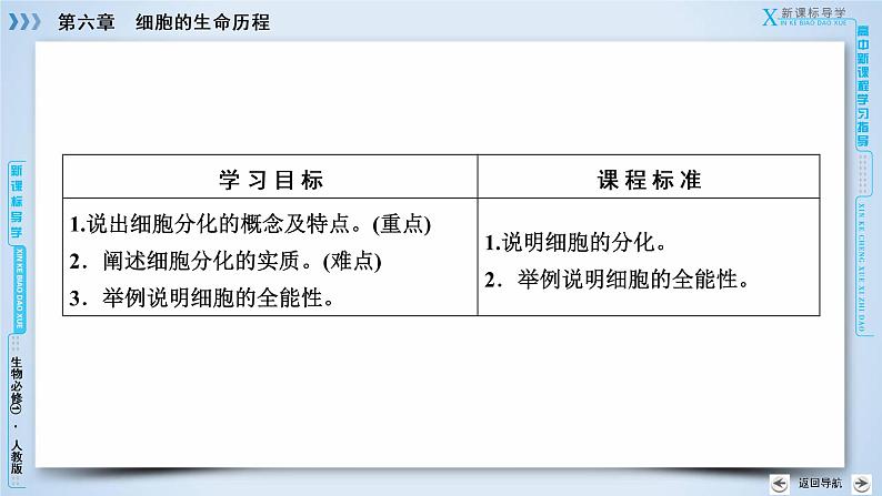 高中生物人教版必修1课件：第6章 第2节细胞的分化03