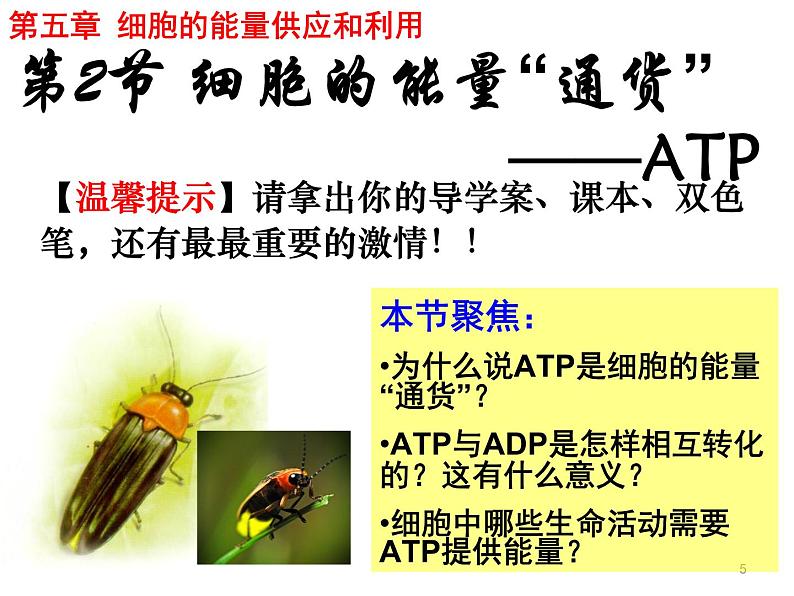 人教版高一生物必修1课件：5.2 细胞的能量“通货”——atp （共22张ppt）05