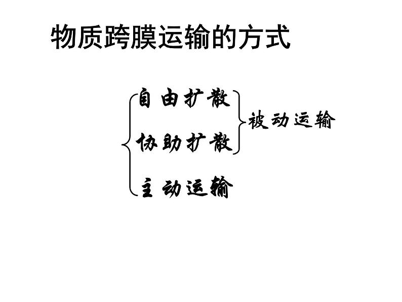 人教版高一生物必修1课件：4.3 物质跨膜运输的方式1课件（共39 张PPT）07