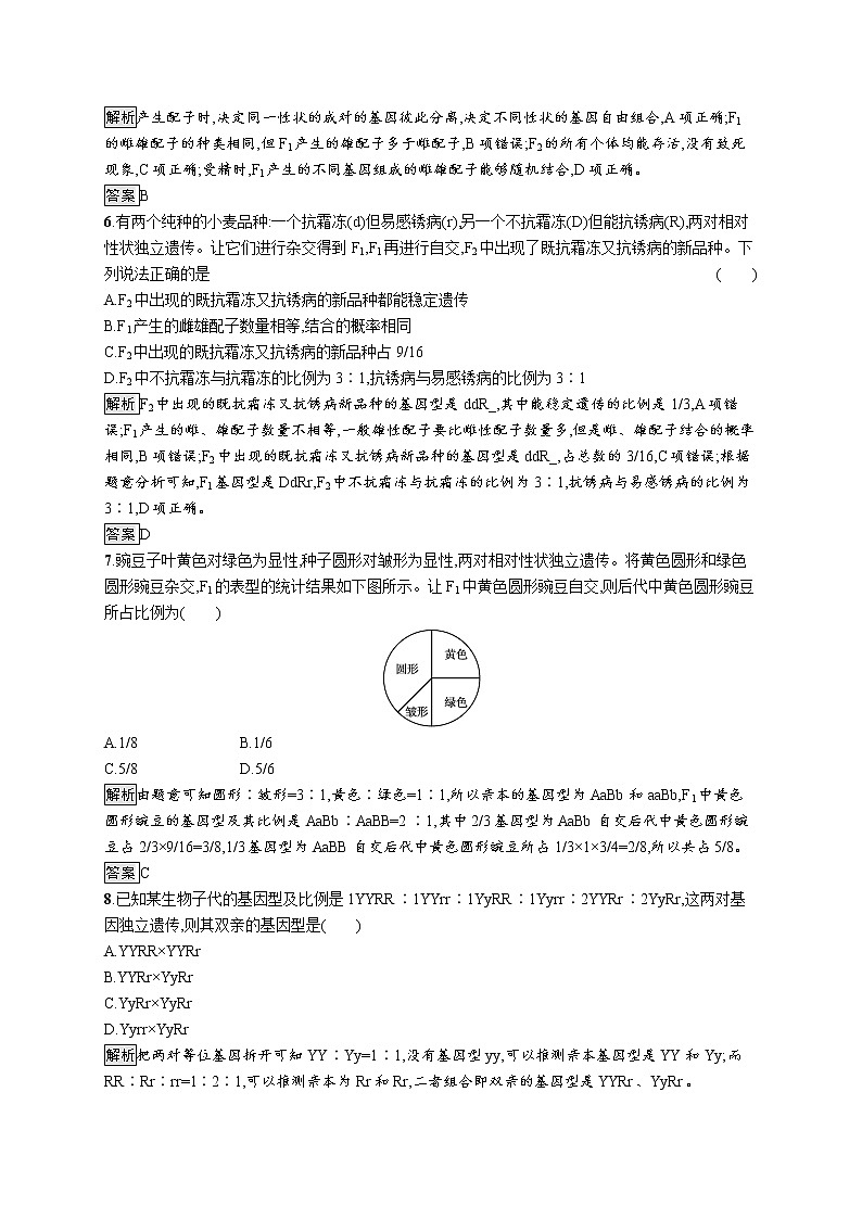 第一章　第二节　孟德尔从两对相对性状的杂交实验中总结出自由组合定律第2页