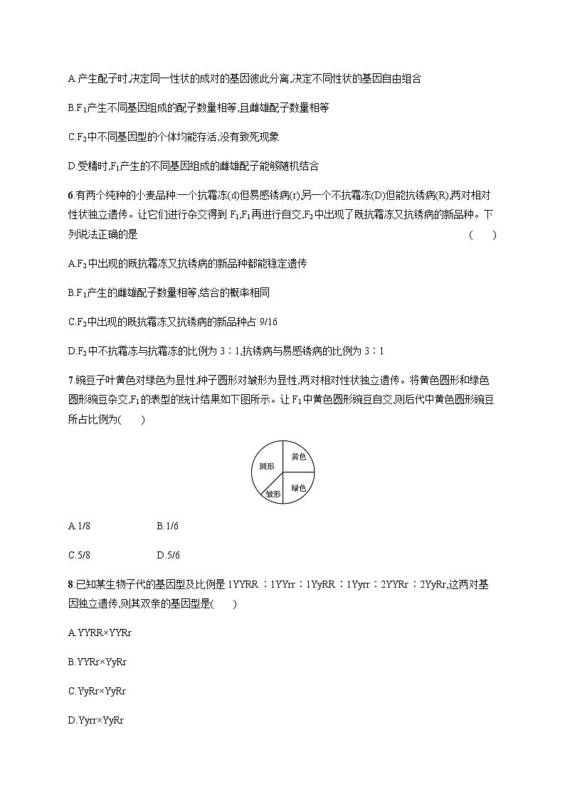 第一章　第二节　孟德尔从两对相对性状的杂交实验中总结出自由组合定律 无答案第2页