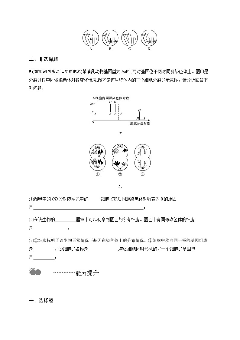 第二章　第二节　基因伴随染色体传递无答案(1)第3页