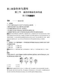 生物必修2《遗传与进化》第二节 基因伴随染色体传递优秀习题