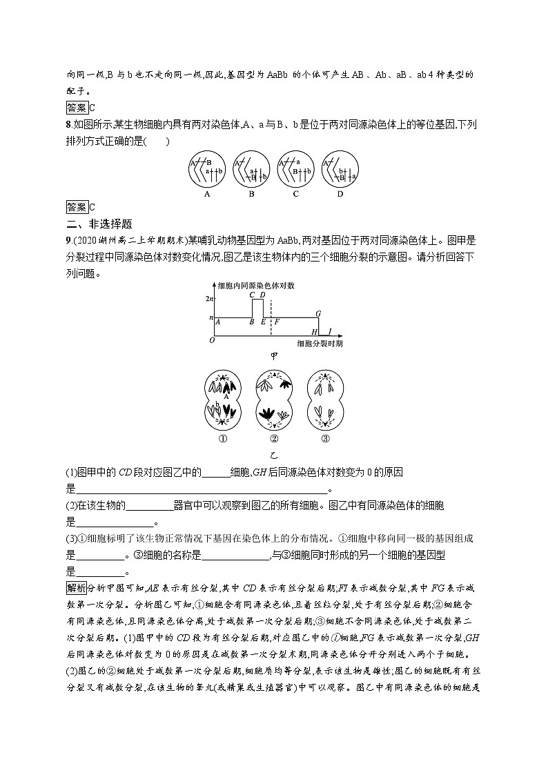 第二章　第二节　基因伴随染色体传递第3页