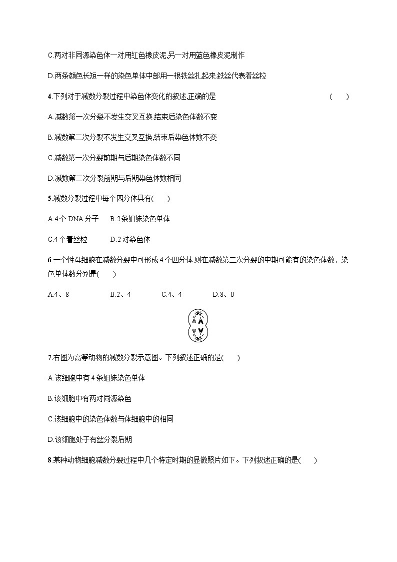 浙科版高中生物必修二同步练习：基因随染色体传递减数分裂教师+学生版02