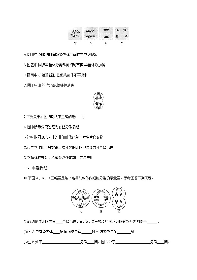 浙科版高中生物必修二同步练习：基因随染色体传递减数分裂教师+学生版03