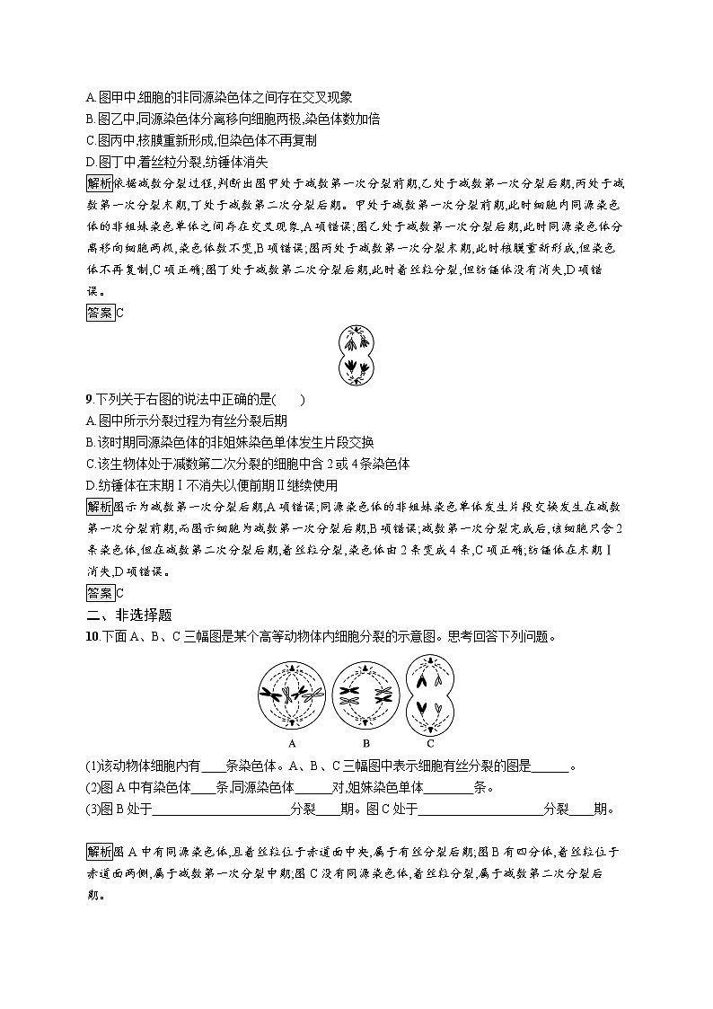 浙科版高中生物必修二同步练习：基因随染色体传递减数分裂教师+学生版03