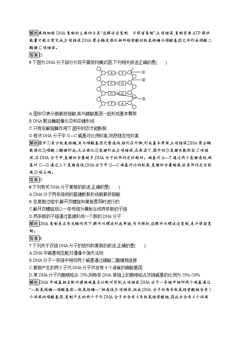 第三章　第三节　DNA通过复制传递遗传信息(1)第2页