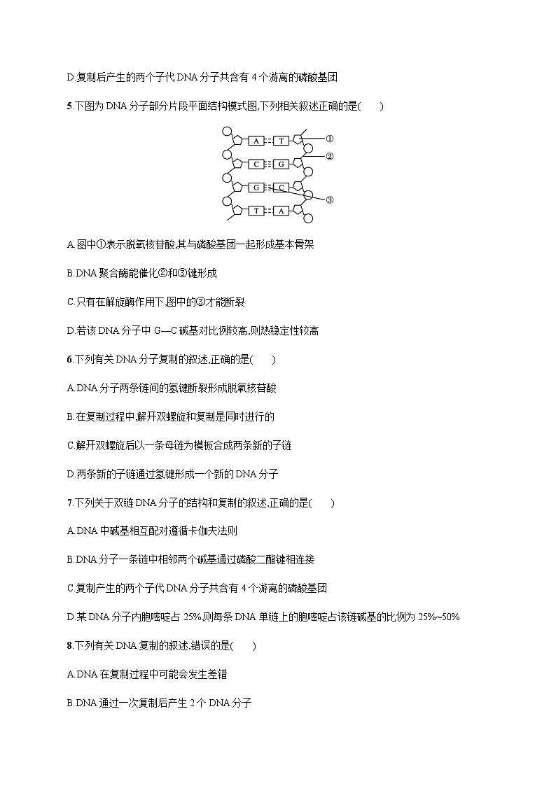 第三章　第三节　DNA通过复制传递遗传信息 无答案(1)第2页
