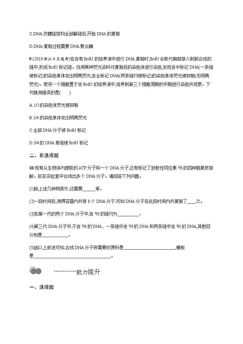 第三章　第三节　DNA通过复制传递遗传信息 无答案(1)第3页