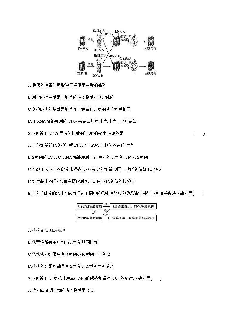 浙科版高中生物必修二同步练习：核酸是遗传物质教师+学生版02