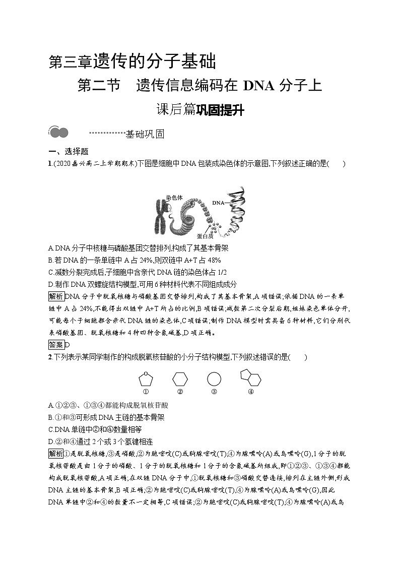 第三章　第二节　遗传信息编码在DNA分子上第1页