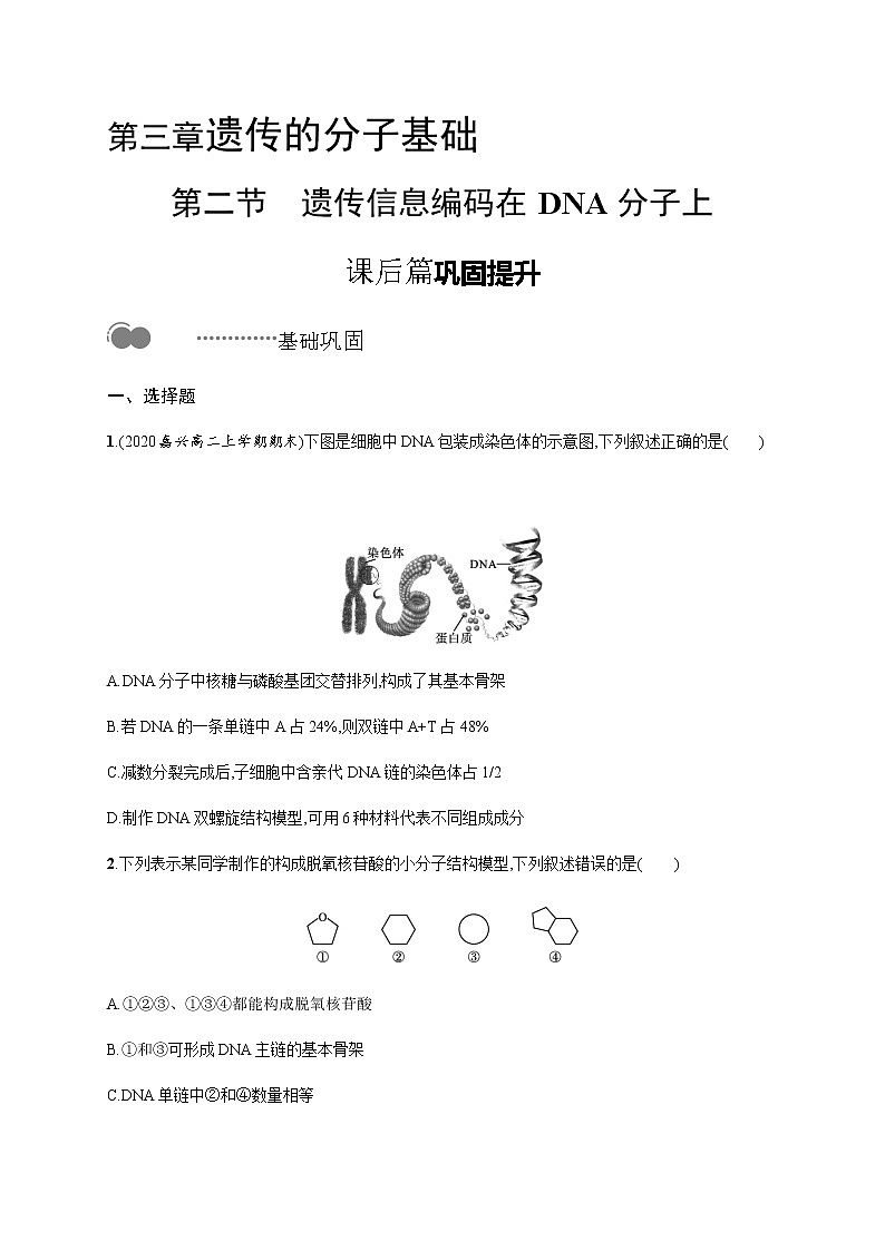第三章　第二节　遗传信息编码在DNA分子上无答案第1页