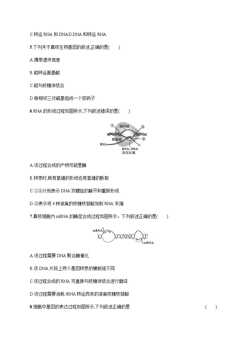 浙科版高中生物必修二同步练习：遗传信息转录和翻译教师+学生版02