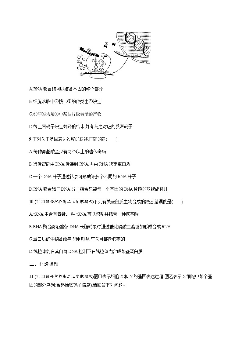 浙科版高中生物必修二同步练习：遗传信息转录和翻译教师+学生版03