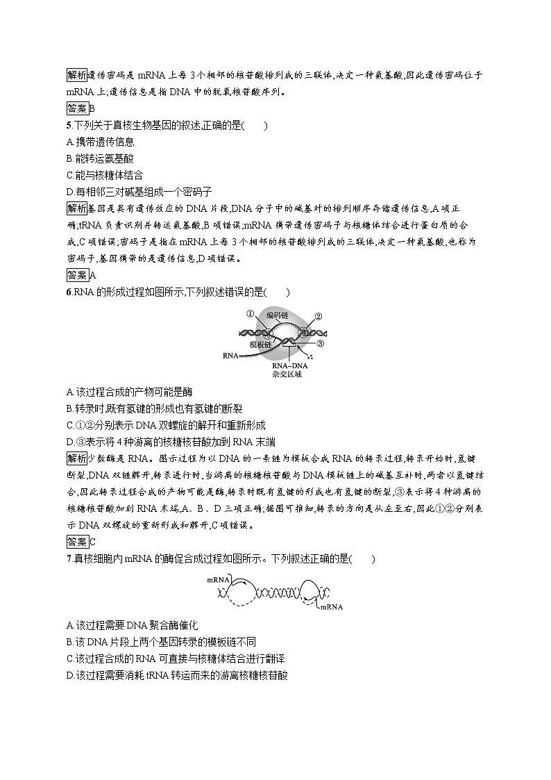 浙科版高中生物必修二同步练习：遗传信息转录和翻译教师+学生版02