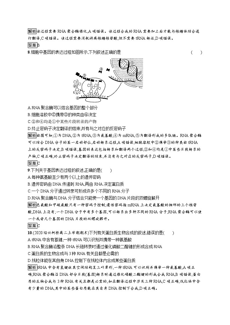 浙科版高中生物必修二同步练习：遗传信息转录和翻译教师+学生版03