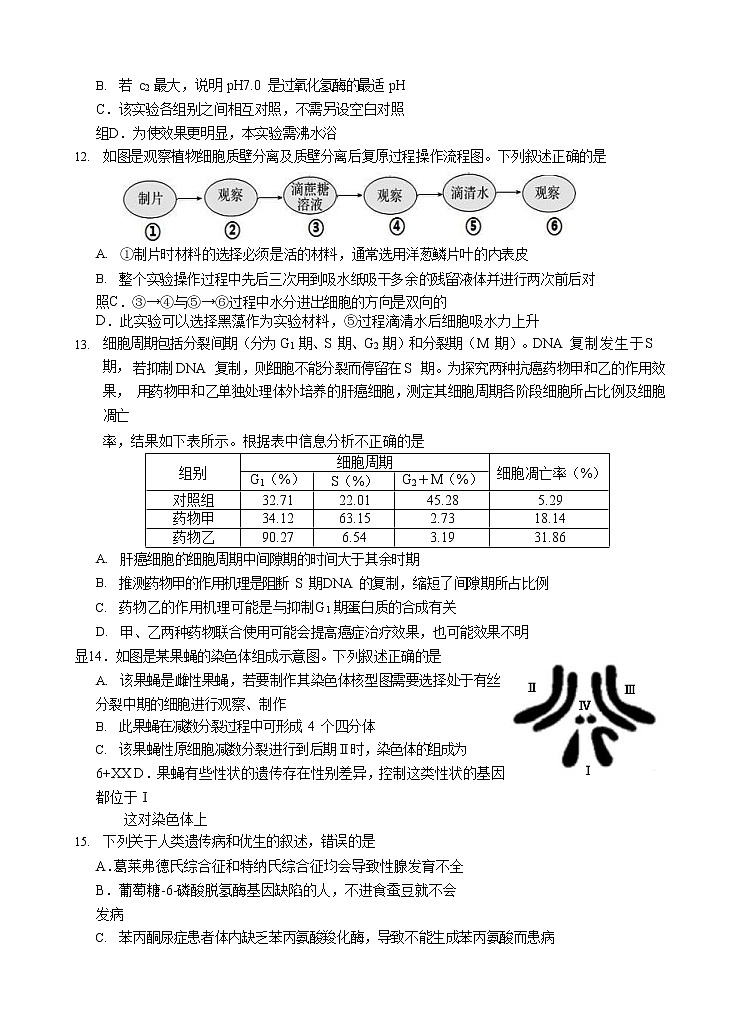 浙江省“七彩阳光”新高考研究联盟2021届高三上学期期中联考 生物 (含答案) 试卷03