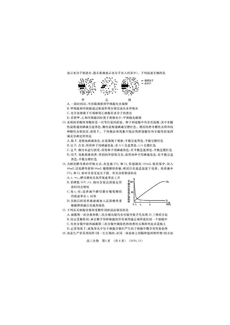 河南省洛阳市2021届三上学期第一次统一考试 生物 (含答案)03