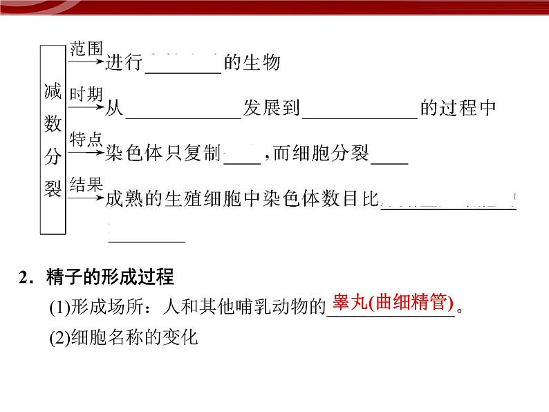 高效课堂同步课件：2-1-1减数分裂和受精作用（必修2）05