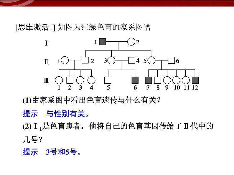 高效课堂同步课件：2-3伴性遗传（必修2）06