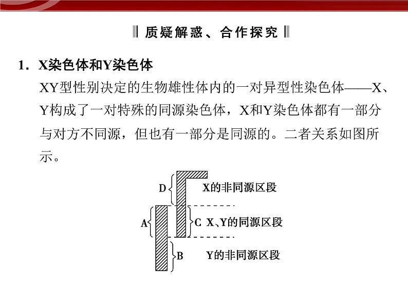 高效课堂同步课件：2-3伴性遗传（必修2）08