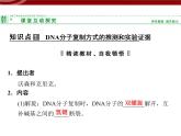 高效课堂同步课件：3-3DNA的复制（必修2）