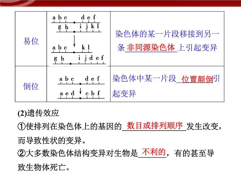 高效课堂同步课件：5-2-1染色体变异（必修2）05