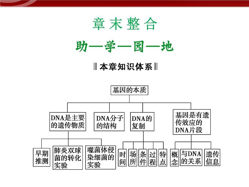 高效课堂同步课件：章末整合3《基因的本质》（必修2）01