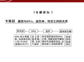 高效课堂同步课件：章末整合3《基因的本质》（必修2）