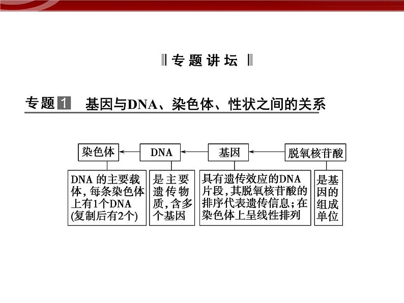 高效课堂同步课件：章末整合3《基因的本质》（必修2）02