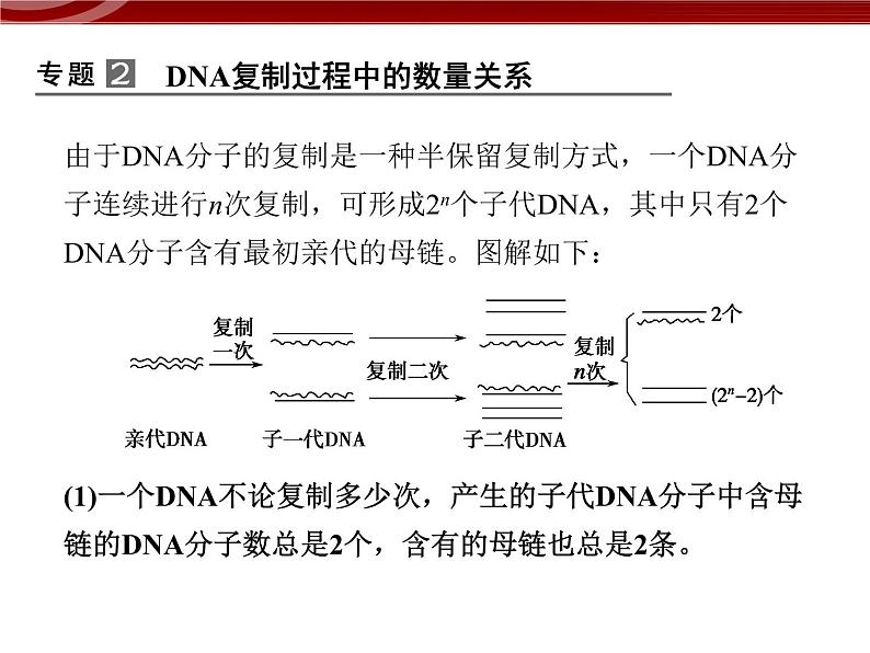 高效课堂同步课件：章末整合3《基因的本质》（必修2）04