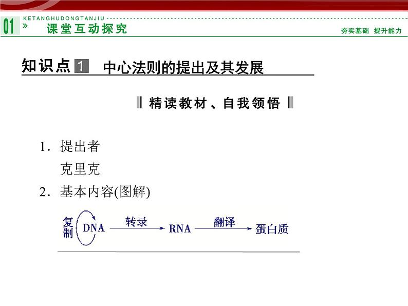 高效课堂同步课件：4-2基因对性状的控制（必修2）04