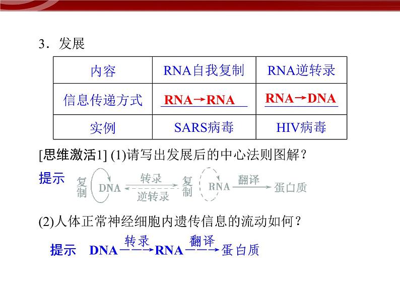 高效课堂同步课件：4-2基因对性状的控制（必修2）05