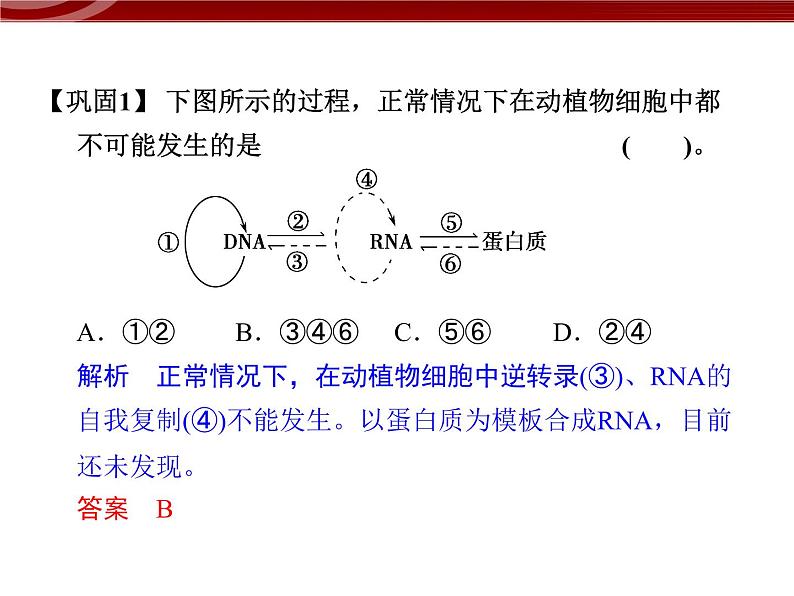 高效课堂同步课件：4-2基因对性状的控制（必修2）08