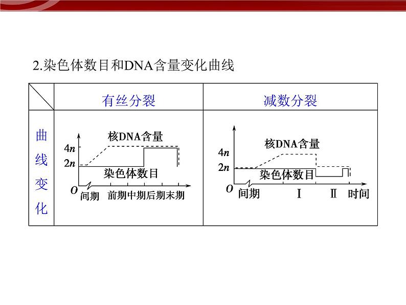 高效课堂同步课件：章末整合2《基因与染色体的关系》（必修2）05