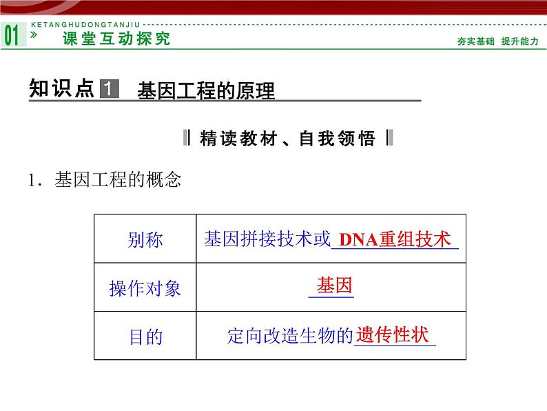 高效课堂同步课件：6-2基因工程及其应用（必修2）03