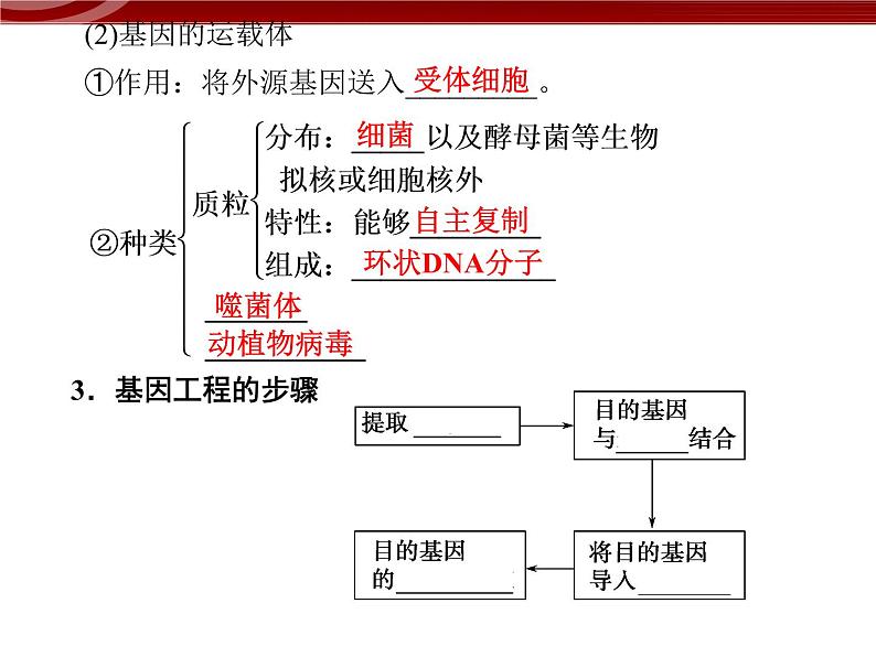 高效课堂同步课件：6-2基因工程及其应用（必修2）05