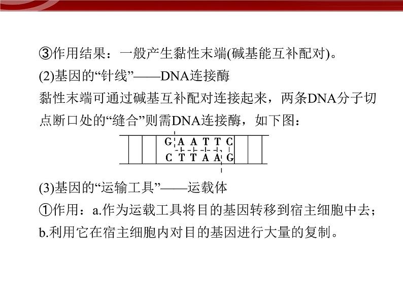 高效课堂同步课件：6-2基因工程及其应用（必修2）08